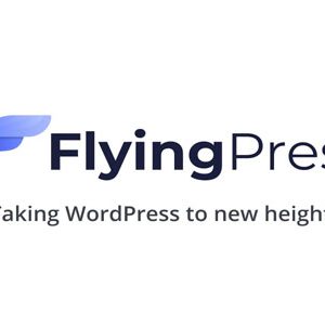 FlyingPress v5.0.5 – Taking WordPress To New Heights