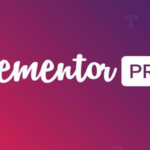 Elementor Pro v3.30.0 – The Most Advanced Website Builder Plugin